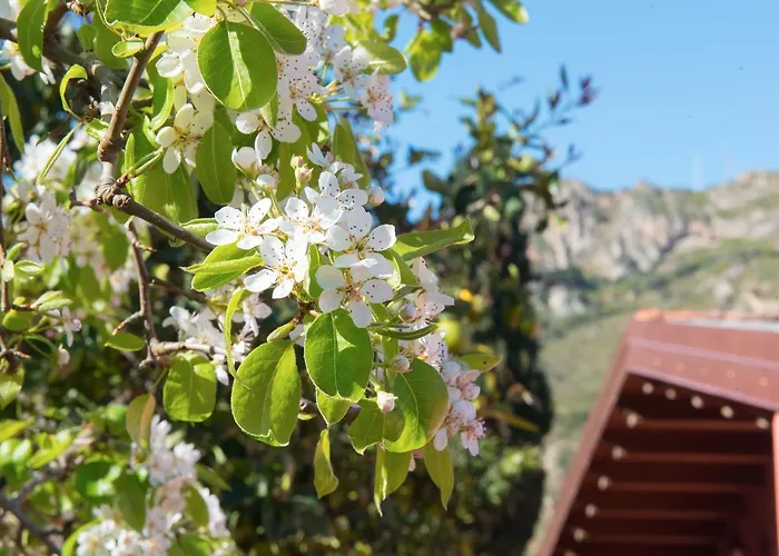Alloggio per agriturismo Valle Lumia *